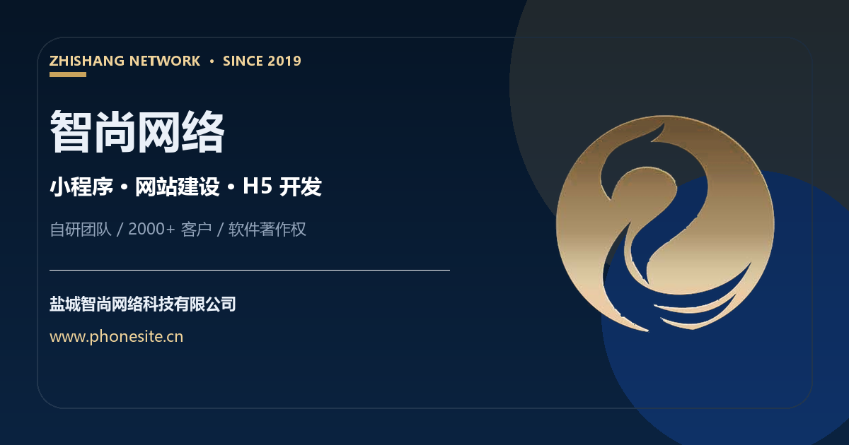 盐城智尚网络科技有限公司简介（GEO版）